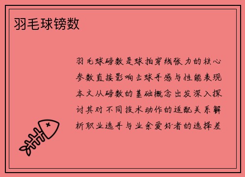 羽毛球镑数